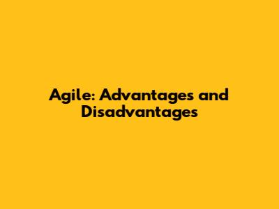 Agile: Advantages and Disadvantages