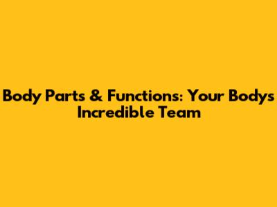 Body Parts & Functions: Your Body's Incredible Team