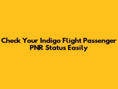 Check Your Indigo Flight Passenger PNR Status Easily