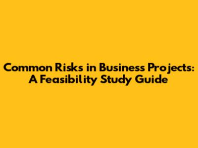 Common Risks in Business Projects: A Feasibility Study Guide