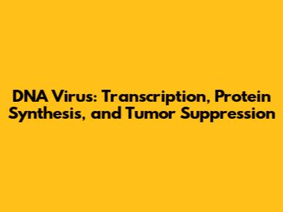 DNA Virus: Transcription, Protein Synthesis, and Tumor Suppression