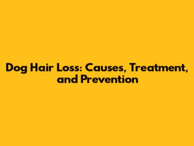 Dog Hair Loss: Causes, Treatment, and Prevention