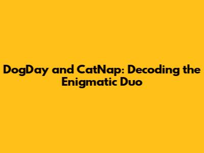 DogDay and CatNap: Decoding the Enigmatic Duo