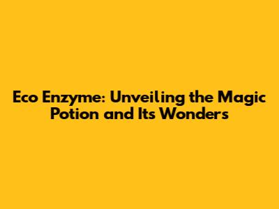 Eco Enzyme: Unveiling the Magic Potion and Its Wonders