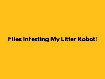 Flies Infesting My Litter Robot!