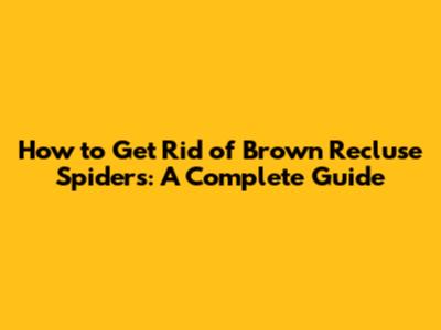 How to Get Rid of Brown Recluse Spiders: A Complete Guide