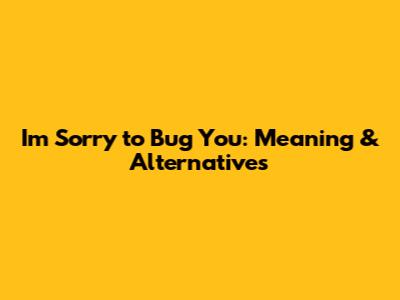 I'm Sorry to Bug You: Meaning & Alternatives