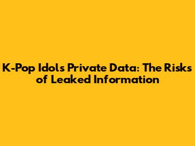 K-Pop Idols' Private Data: The Risks of Leaked Information