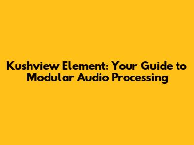 Kushview Element: Your Guide to Modular Audio Processing