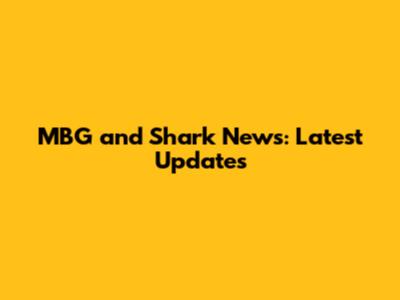 MBG and Shark News: Latest Updates