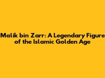 Malik bin Zarr: A Legendary Figure of the Islamic Golden Age