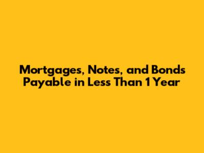Mortgages, Notes, and Bonds Payable in Less Than 1 Year
