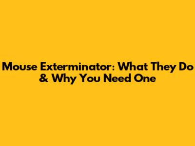 Mouse Exterminator: What They Do & Why You Need One