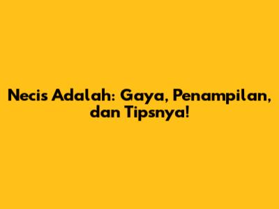 Necis Adalah: Gaya, Penampilan, dan Tipsnya!