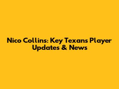 Nico Collins: Key Texans Player Updates & News