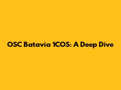 OSC Batavia 1COS: A Deep Dive
