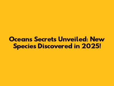 Ocean's Secrets Unveiled: New Species Discovered in 2025!