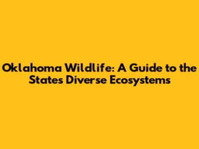 Oklahoma Wildlife: A Guide to the State's Diverse Ecosystems