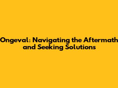 Ongeval: Navigating the Aftermath and Seeking Solutions