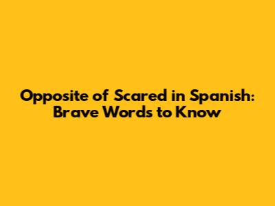 Opposite of Scared in Spanish: Brave Words to Know