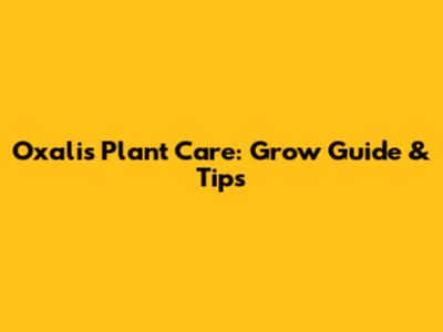 Oxalis Plant Care: Grow Guide & Tips