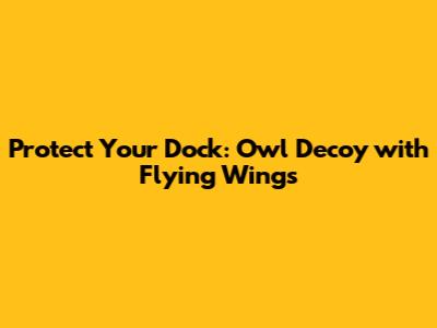 Protect Your Dock: Owl Decoy with Flying Wings