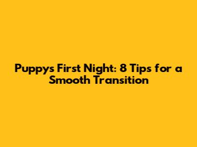 Puppy's First Night: 8 Tips for a Smooth Transition