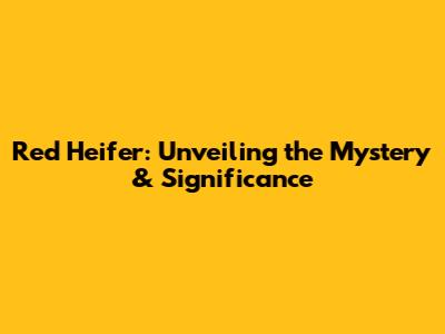 Red Heifer: Unveiling the Mystery & Significance