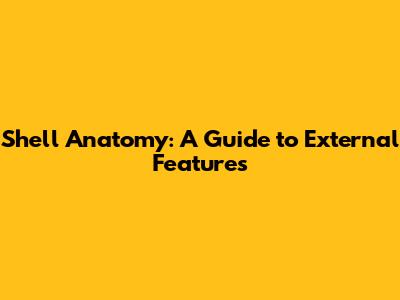 Shell Anatomy: A Guide to External Features