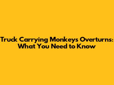 Truck Carrying Monkeys Overturns: What You Need to Know