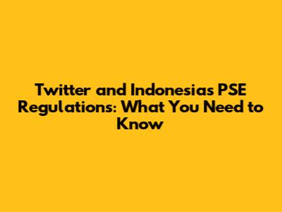 Twitter and Indonesia's PSE Regulations: What You Need to Know