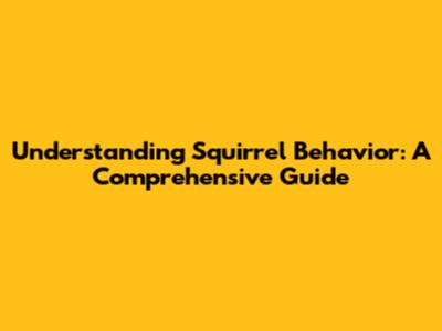 Understanding Squirrel Behavior: A Comprehensive Guide