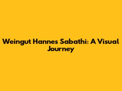 Weingut Hannes Sabathi: A Visual Journey
