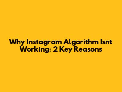 Why Instagram Algorithm Isn't Working: 2 Key Reasons